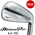 Mizuno Pro M-15
