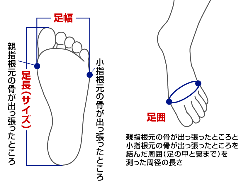シューズ全般 ミズノ公式通販 Mizuno Shop