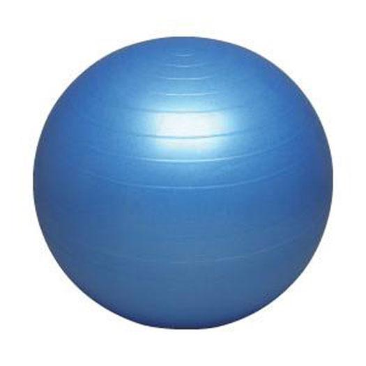 秦運動具工業／バランスボールセーフティ（55cm／ポンプ付）