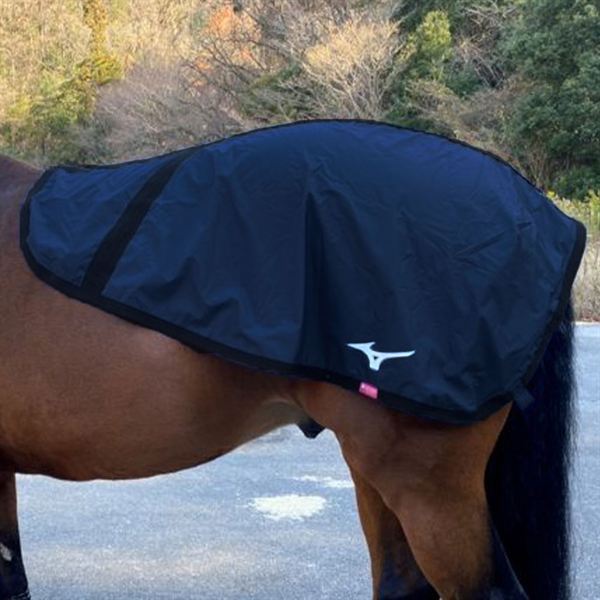 【吸湿発熱】ブレスサーモラグ(競走馬用)