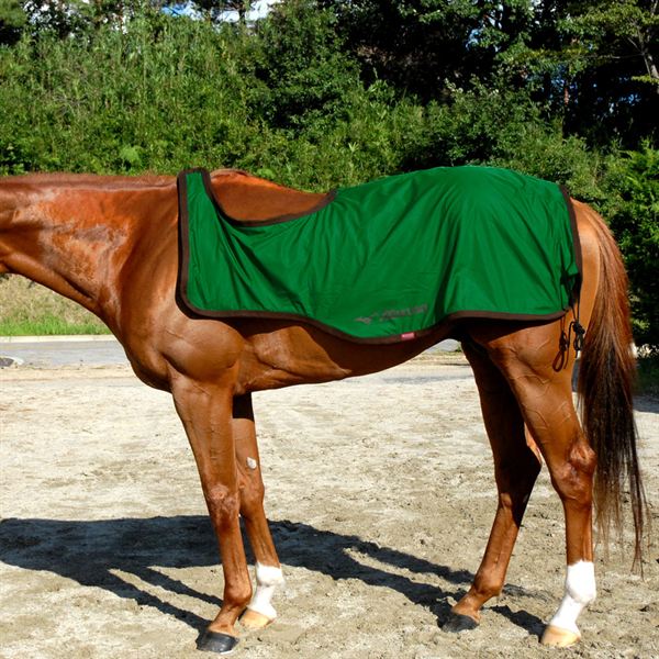 ブレスサーモ エクササイズラグ （乗馬用）2枚合せ