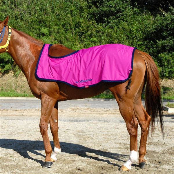 ブレスサーモ エクササイズラグ （乗馬用）2枚合せ