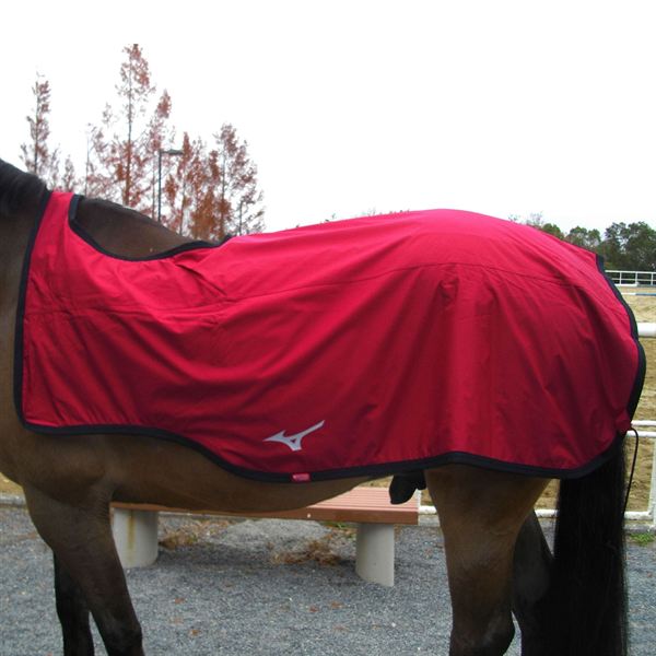 ブレスサーモ エクササイズラグ(乗馬用)2枚合せ