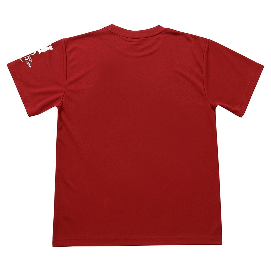 【東京六大学野球】大学応援Tシャツ(早稲田大学) L