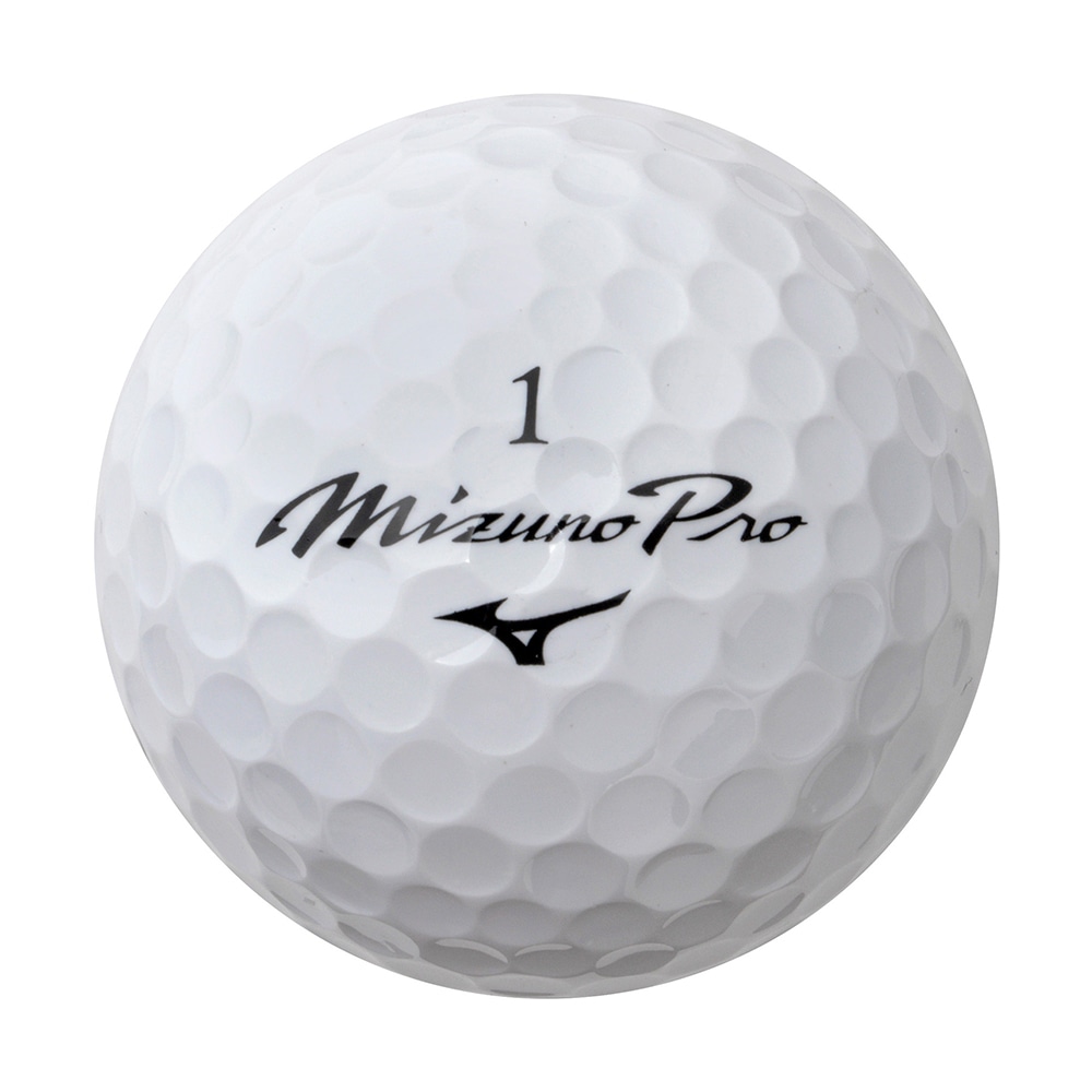 Mizuno Pro S(ダース／オウンネーム対応)