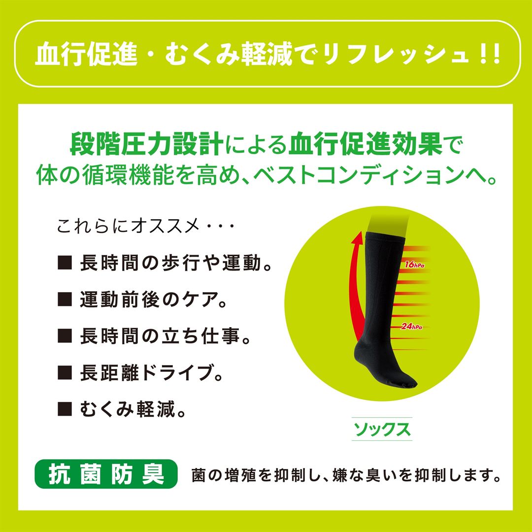 クラス1サポーターソックス（2枚入り） ブラック M