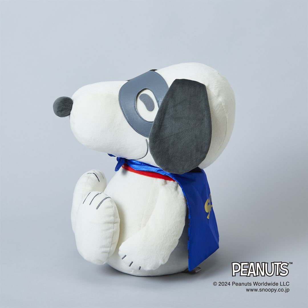 【PEANUTS】スヌーピーメディシンボール ウェアグラースィズ ブルー