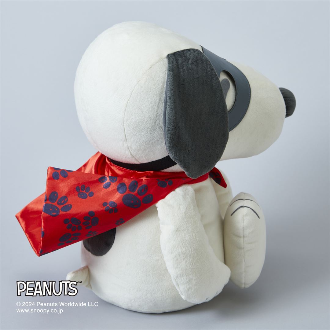 【PEANUTS】スヌーピーメディシンボール ウェアグラースィズ レッド