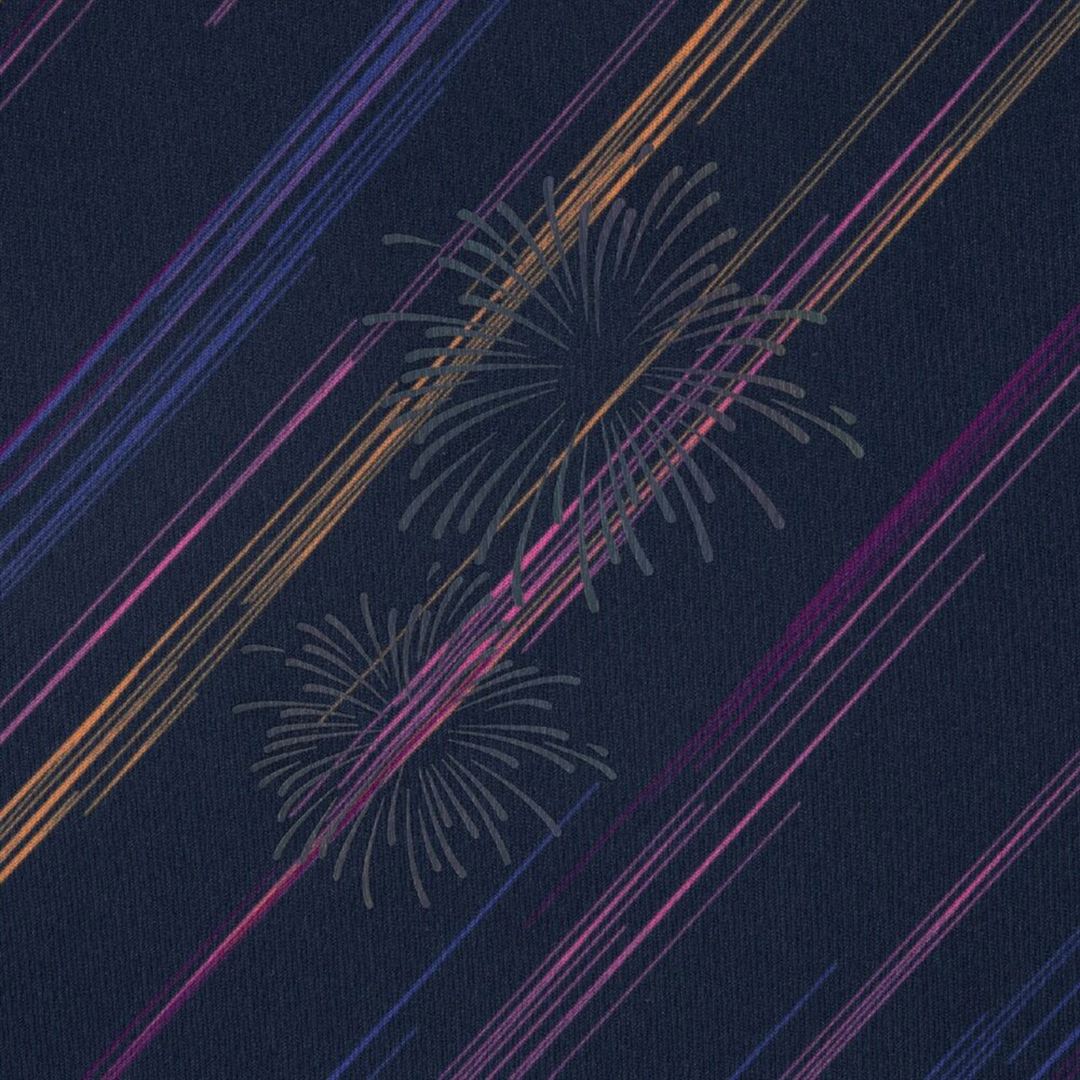 クイックドライ グラフィック Tシャツ ハナビ S