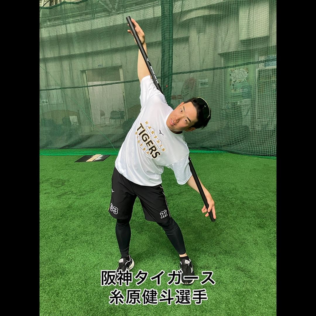 Motion Link Bar(モーションリンクバー)