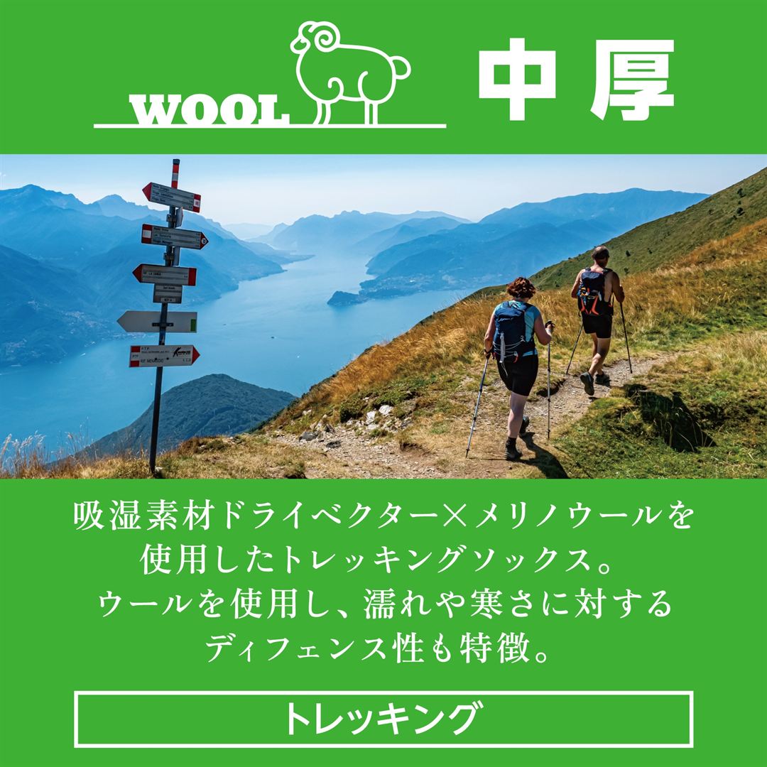 ドライベクター中厚メリノウールソックス グレー