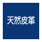 technology_icon2