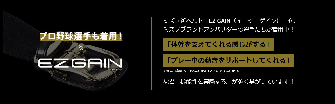 EZGAIN（イージーゲイン）機能説明