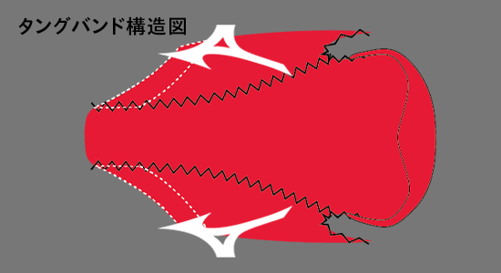 タングバンド構造図