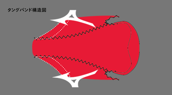 タングバンド構造図