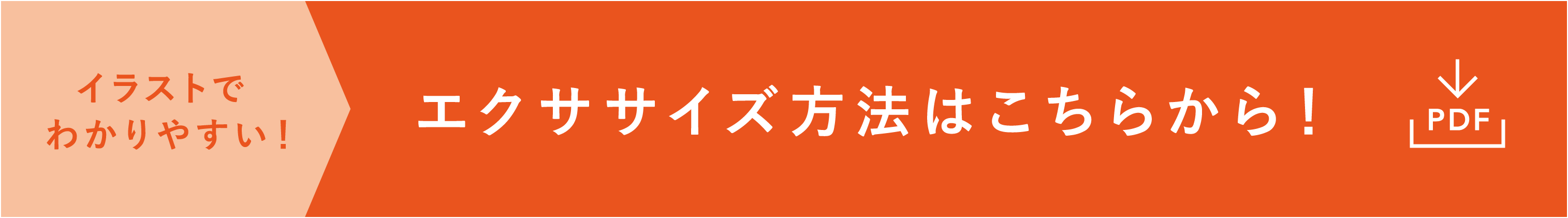 イラストでわかりやすい！エクササイズ方法はこちらから！