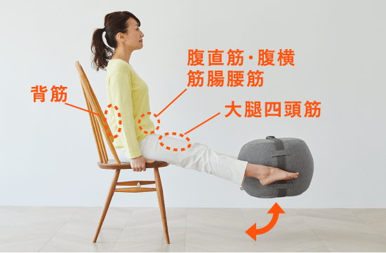 腹直筋・腹横筋腸腰筋 大腿四頭筋 背筋