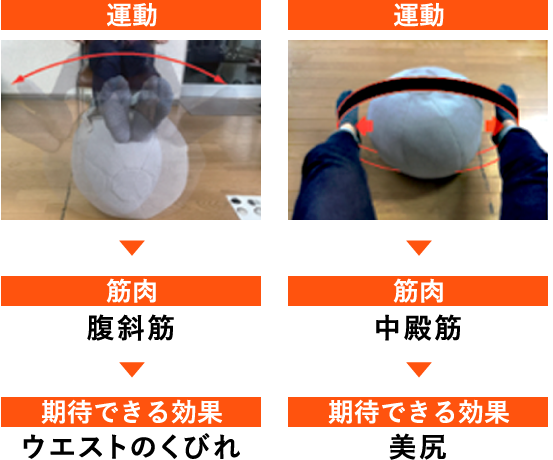 運動 筋肉 腹斜筋 期待できる効果 ウエストのくびれ 運動 筋肉 中殿筋 期待できる効果 美尻