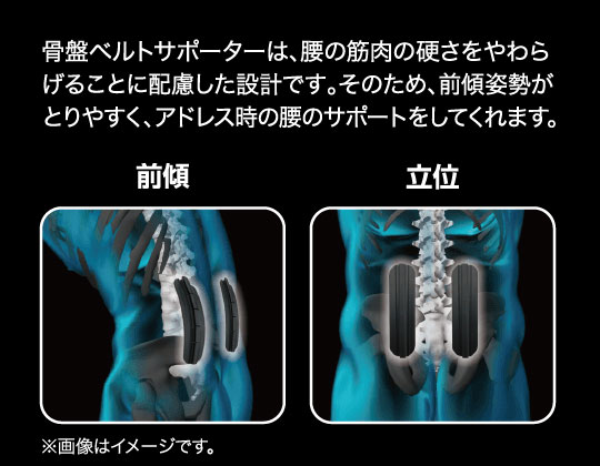 骨盤ベルトサポーターは、腰の筋肉の硬さをやわらげることに配慮した設計です。そのため、前傾姿勢がとりやすく、アドレス時の腰のサポートをしてくれます。