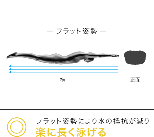 フラット姿勢により水の抵抗が減り 楽に長く泳げる