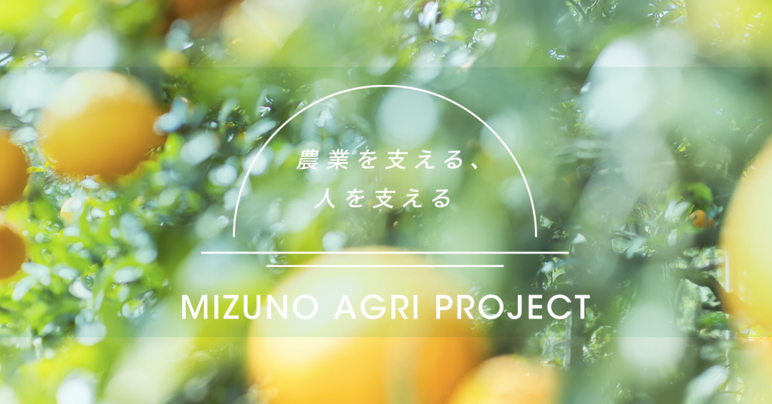 農業を支える、人を支える MIZUNO AGRI PROJECT