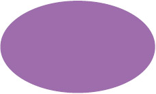 薄紫（ラベンダー）