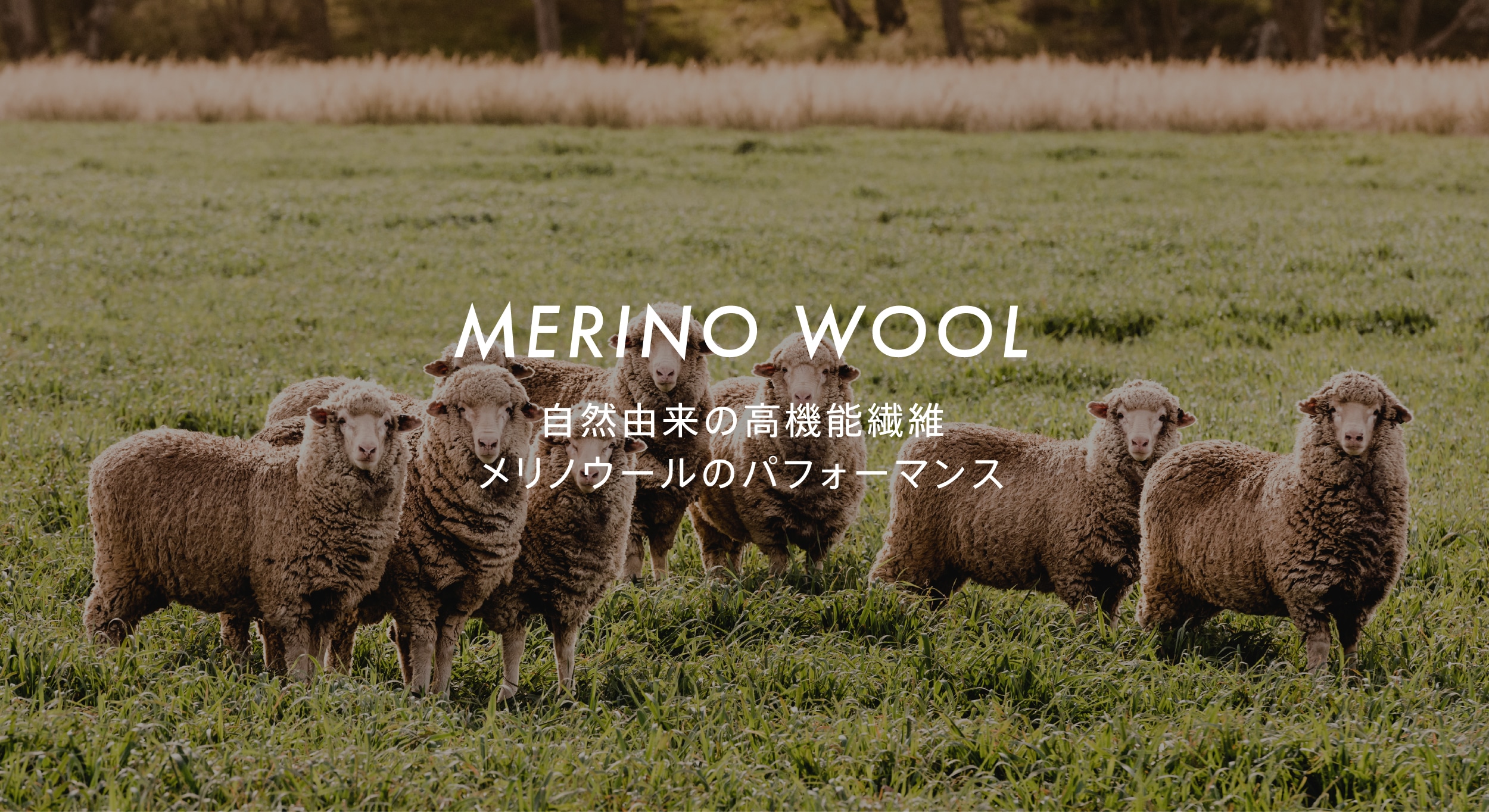 MERINO WOOL 自然由来の高機能繊維 メリノウールのパフォーマンス