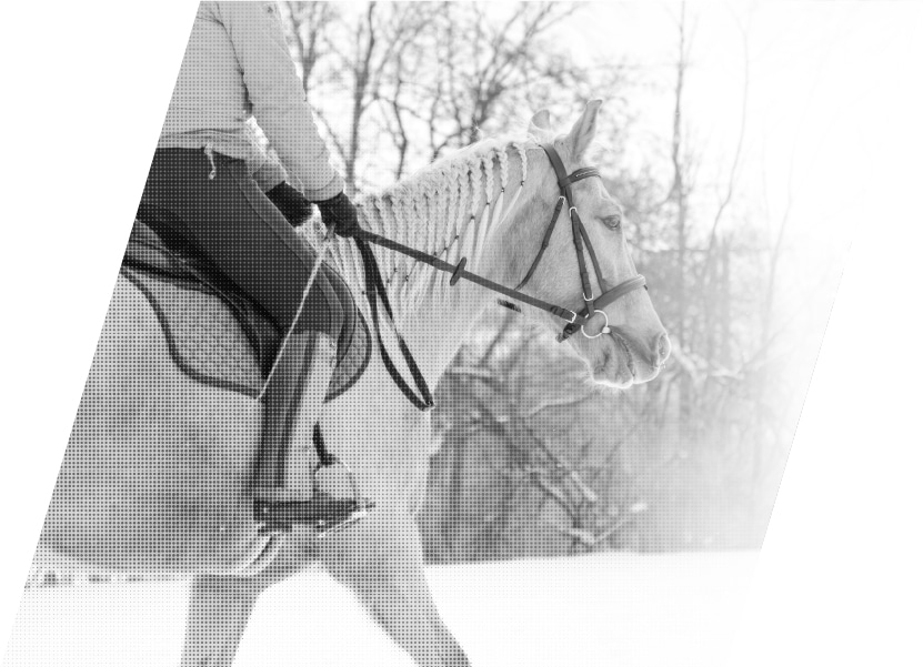 冷たい風を 受ける冬には、 馬にも温かさが 必要だから。