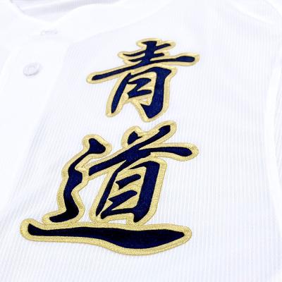 ダイヤのA青道高校野球部ミズノ製ユニフォーム型Tシャツ　Lサイズ 受注生産／ミズノ直営限定】ダイヤのA(青道高校)ユニフォームシャツ
