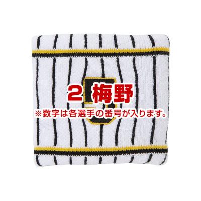 阪神タイガース｜球団グッズ｜野球｜ミズノ公式オンライン