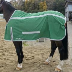 サマーラグ(兼移動用)