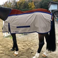 サマーラグ(兼移動用)