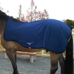 馬具｜乗馬／競馬｜ミズノ公式オンライン