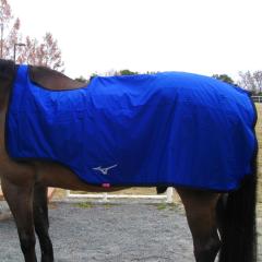 ラスース　「乗馬」夏 ラスース 「乗馬」夏 Tanimoto Horse Ranch | タニモトホースランチ