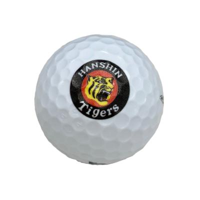 Tigers RB MAX(6個入り)|5NJBO73390|球団グッズ|野球|ミズノ公式オンライン