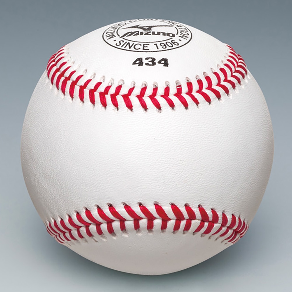 マック様 野球用硬式練習球24球セットMIZUNO434サインのみ使用 - 記念 