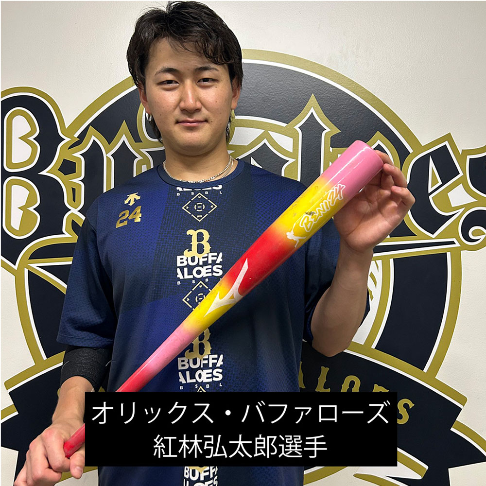 MIZUNO☆硬式用メープル 硬式用【ミズノ直営店限定】プロフェッショナルJP メイプル