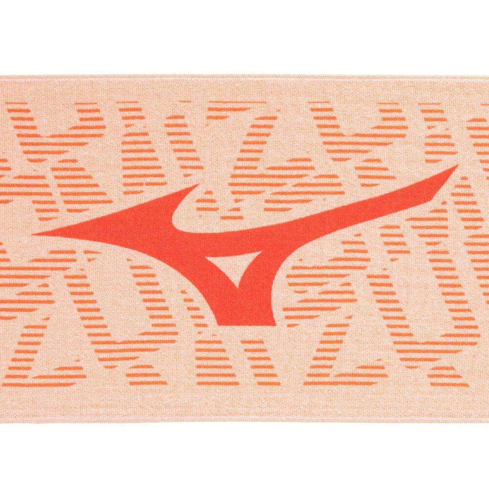   Bristol プレート2枚 3-3321-02 黒色マイクロプレート 平底 96well・I型 未滅菌（フタなし