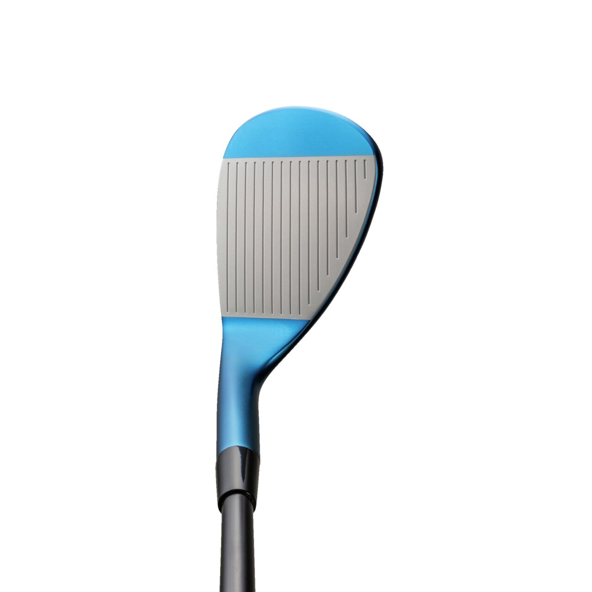 Mizuno Pro T-1 ウエッジ 2本組(ブルーIP仕上げ)(Dynamic Gold Tour