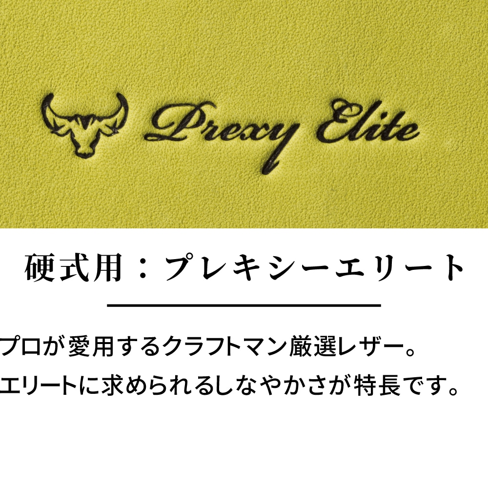 硬式用【ミズノプロ】CRAFTED Edition【ヌートバー型／サイズ18N