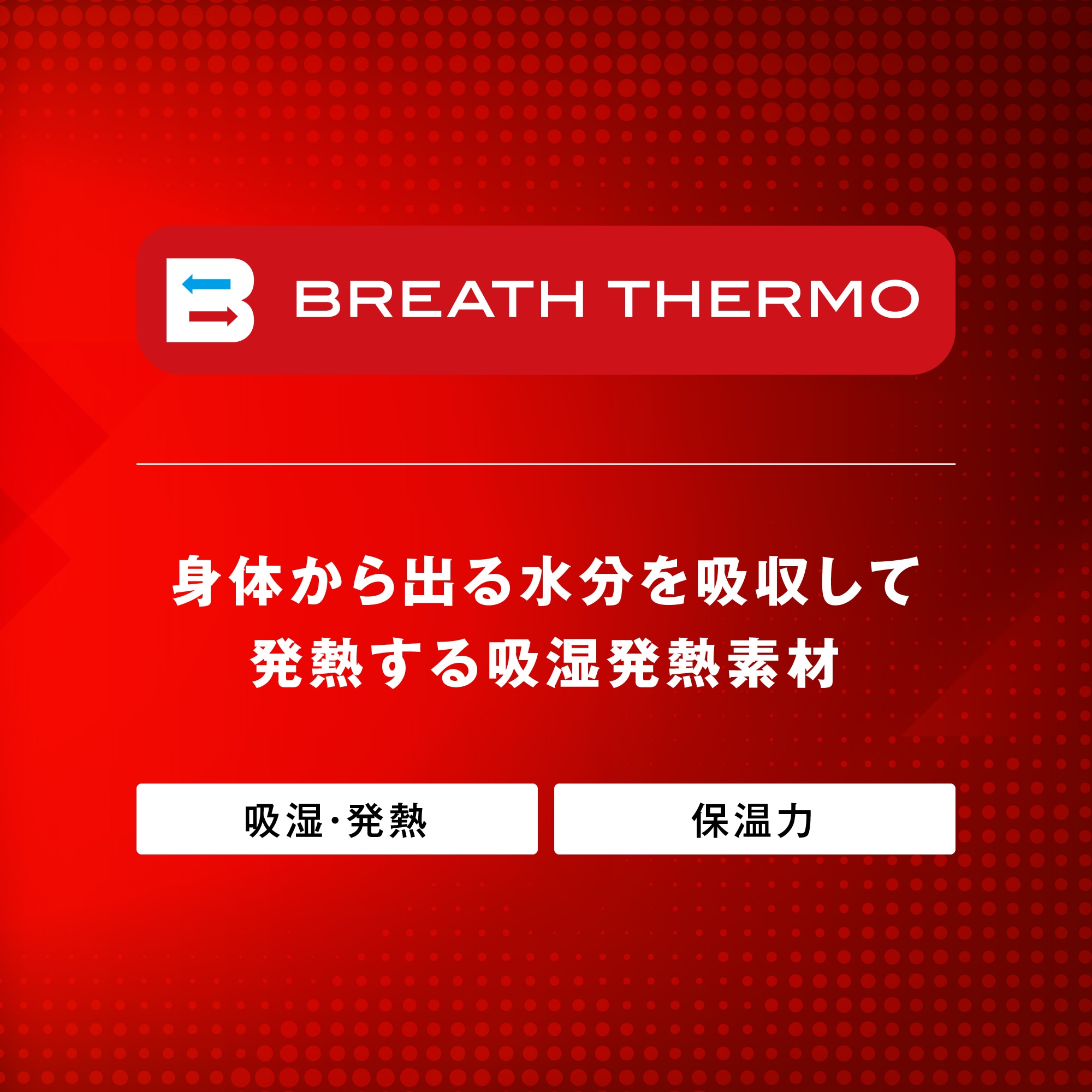 吸湿発熱】ブレスサーモウォーマーパンツ|32JFA932|ミズノトレーニング