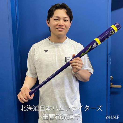 硬式用【ミズノ直営限定】プロフェッショナルJP メイプル ブランド