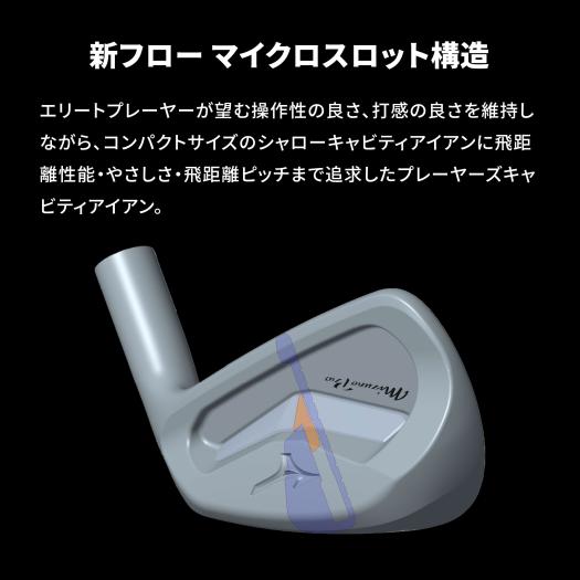 Mizuno Pro 243 アイアン 6本組(No.5～9、PW)(N.S.PRO MODUS3 TOUR105