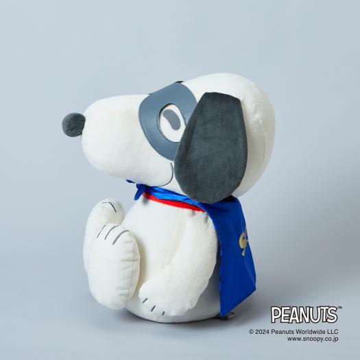 PEANUTS】スヌーピーメディシンボール ウェアグラースィズ|C3JHIB06