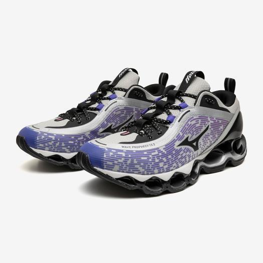 WAVE PROPHECY シリーズ｜MIZUNO SPORTSTYLE スニーカー／アパレル