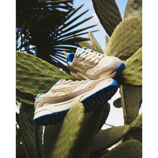 数量限定】MXR WIND AND SEA GOLF|D1GG2513|MIZUNO1906|ライフスタイル