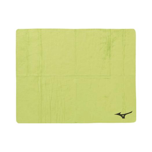 MIZUNO SHOP [�~�Y�m�����I�����C���V���b�v] �X�C���^�I��(44×68cm) ���j�Z�b�N�X 31 ���C�g�O���[�� N2JYD010