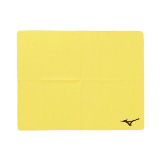 MIZUNO SHOP [�~�Y�m�����I�����C���V���b�v] �X�C���^�I��(44×68cm) ���j�Z�b�N�X 43 F.�C�G���[ N2JYD010