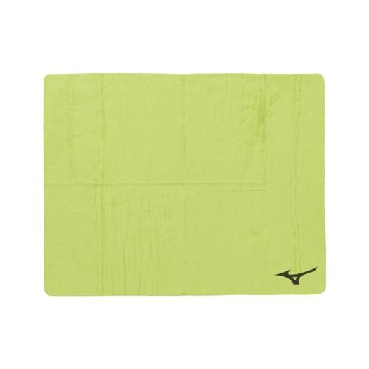 MIZUNO SHOP [�~�Y�m�����I�����C���V���b�v] �X�C���^�I��(34×44cm) ���j�Z�b�N�X 31 ���C�g�O���[�� N2JYD011