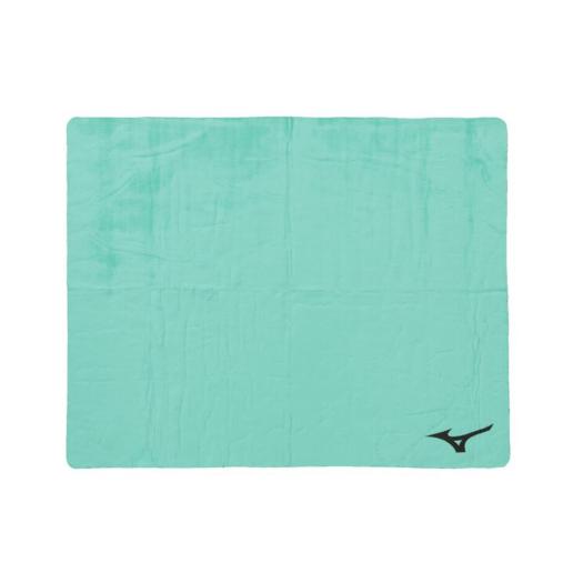 MIZUNO SHOP [�~�Y�m�����I�����C���V���b�v] �X�C���^�I��(34×44cm) ���j�Z�b�N�X 33 �O���[�� N2JYD011